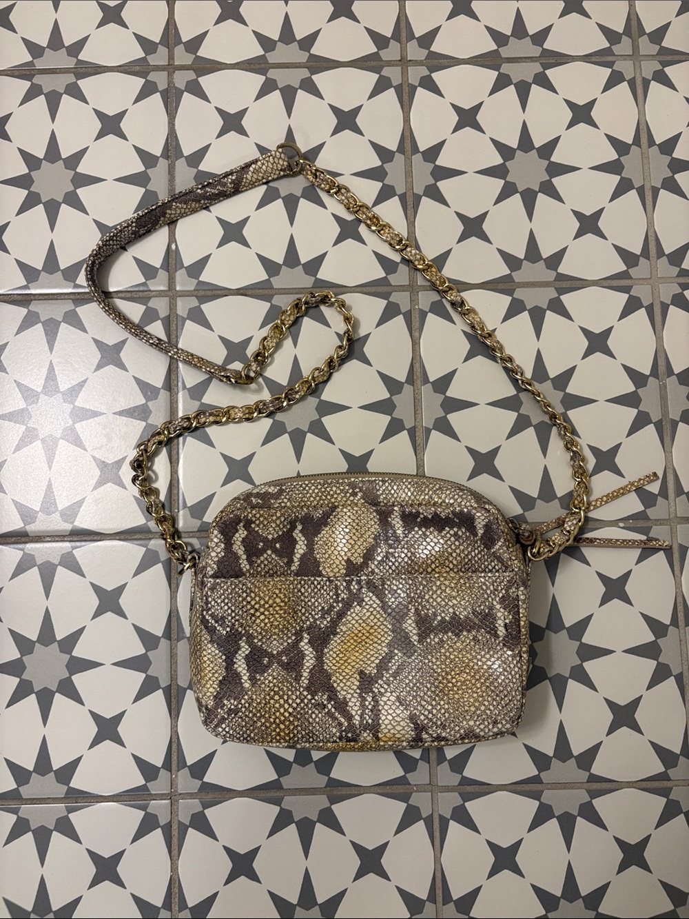 Kelly Wynne Gold-Chain Snake Print Crossbody Bag in Brown and Tan